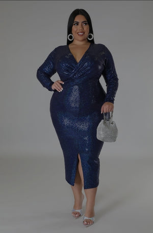 Navy Shine Dress