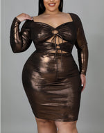 Bronze Beauty Dress